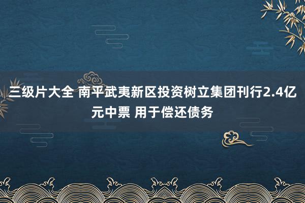 三级片大全 南平武夷新区投资树立集团刊行2.4亿元中票 用于偿还债务