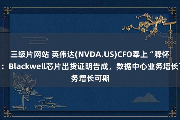 三级片网站 英伟达(NVDA.US)CFO奉上“释怀丸”：Blackwell芯片出货证明告成，数据中心业务增长可期