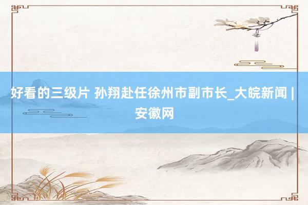 好看的三级片 孙翔赴任徐州市副市长_大皖新闻 | 安徽网