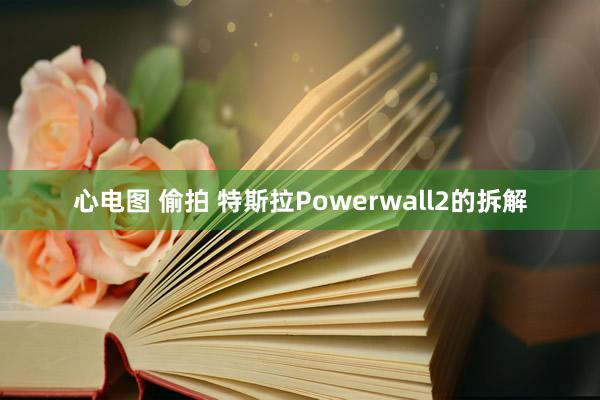 心电图 偷拍 特斯拉Powerwall2的拆解