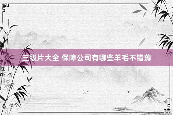 三级片大全 保障公司有哪些羊毛不错薅