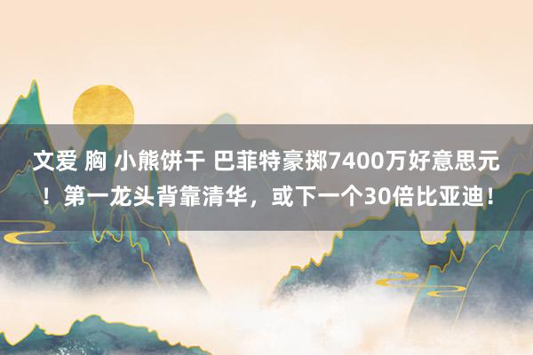 文爱 胸 小熊饼干 巴菲特豪掷7400万好意思元！第一龙头背靠清华，或下一个30倍比亚迪！