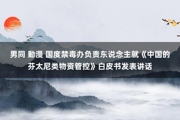男同 動漫 国度禁毒办负责东说念主就《中国的芬太尼类物资管控》白皮书发表讲话