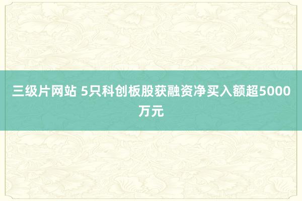 三级片网站 5只科创板股获融资净买入额超5000万元