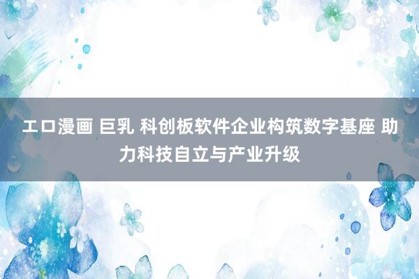 エロ漫画 巨乳 科创板软件企业构筑数字基座 助力科技自立与产业升级
