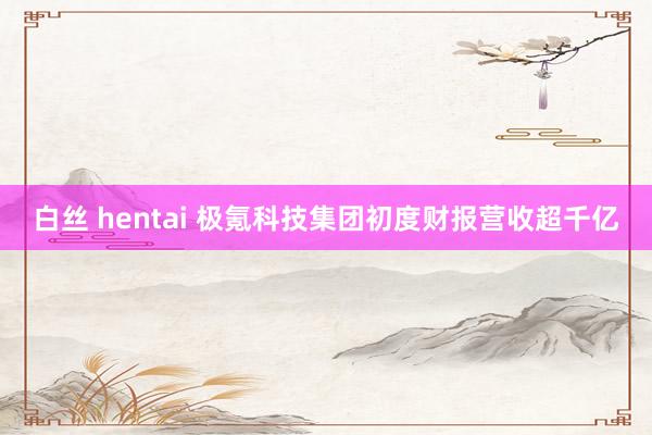 白丝 hentai 极氪科技集团初度财报营收超千亿
