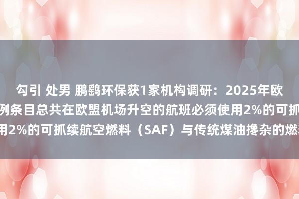 勾引 处男 鹏鹞环保获1家机构调研：2025年欧盟的ReFuelEU航空律例条目总共在欧盟机场升空的航班必须使用2%的可抓续航空燃料（SAF）与传统煤油搀杂的燃料（附调研问答）
