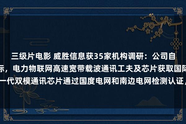 三级片电影 威胜信息获35家机构调研：公司自研芯片隐藏国内融入国际，电力物联网高速宽带载波通讯工夫及芯片获取国际招供，新一代双模通讯芯片通过国度电网和南边电网检测认证，阛阓占有率捏续擢升（附调研问答）