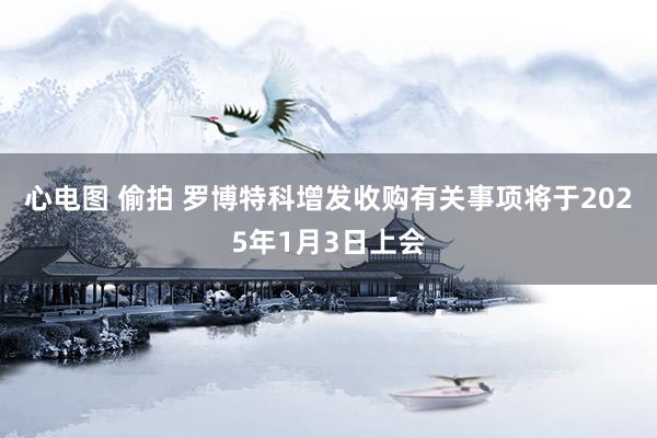 心电图 偷拍 罗博特科增发收购有关事项将于2025年1月3日上会