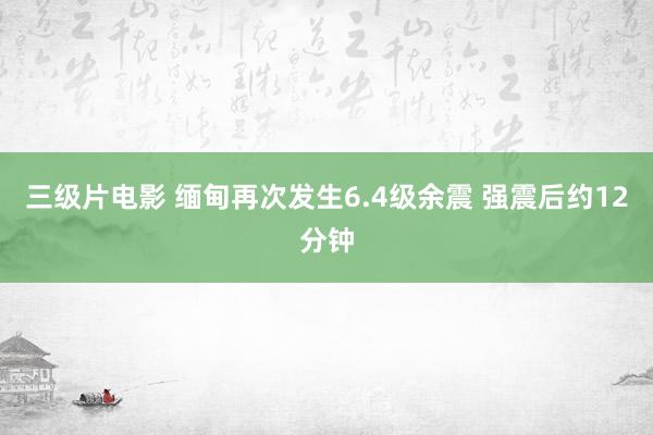 三级片电影 缅甸再次发生6.4级余震 强震后约12分钟