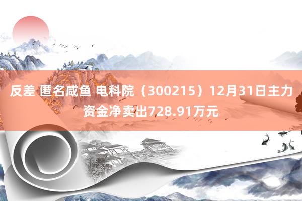 反差 匿名咸鱼 电科院（300215）12月31日主力资金净卖出728.91万元