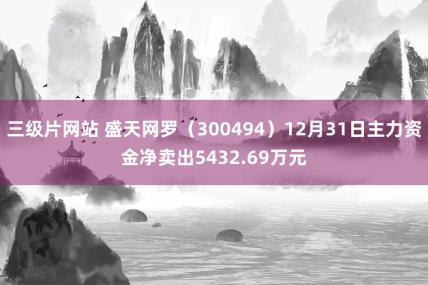 三级片网站 盛天网罗（300494）12月31日主力资金净卖出5432.69万元