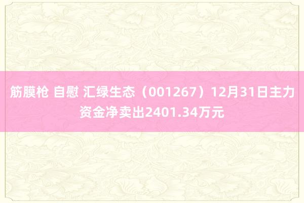 筋膜枪 自慰 汇绿生态（001267）12月31日主力资金净卖出2401.34万元