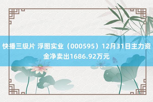 快播三级片 浮图实业（000595）12月31日主力资金净卖出1686.92万元