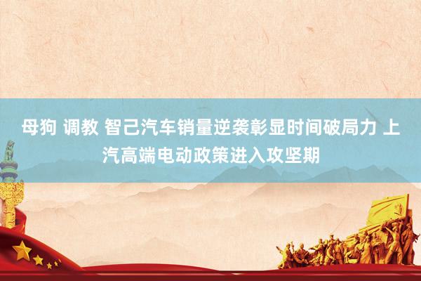 母狗 调教 智己汽车销量逆袭彰显时间破局力 上汽高端电动政策进入攻坚期