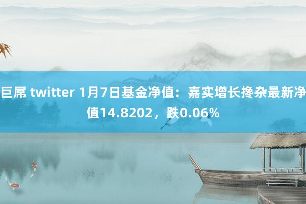巨屌 twitter 1月7日基金净值：嘉实增长搀杂最新净值14.8202，跌0.06%