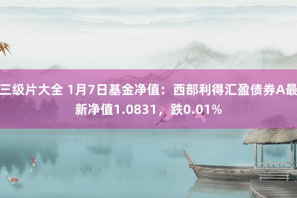 三级片大全 1月7日基金净值：西部利得汇盈债券A最新净值1.0831，跌0.01%