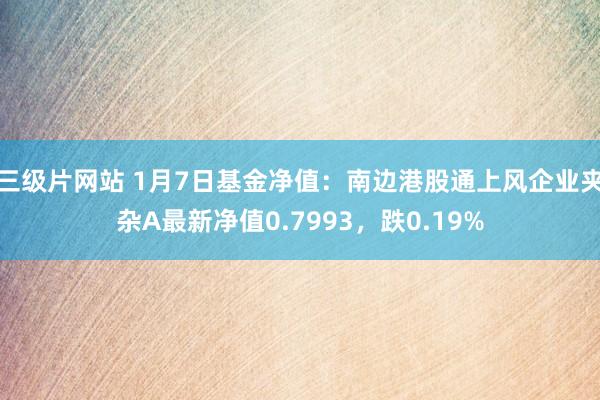 三级片网站 1月7日基金净值：南边港股通上风企业夹杂A最新净值0.7993，跌0.19%