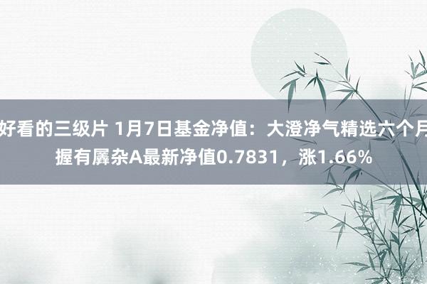 好看的三级片 1月7日基金净值：大澄净气精选六个月握有羼杂A最新净值0.7831，涨1.66%