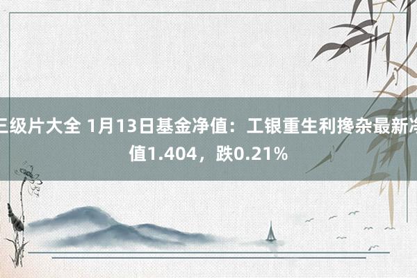 三级片大全 1月13日基金净值：工银重生利搀杂最新净值1.404，跌0.21%