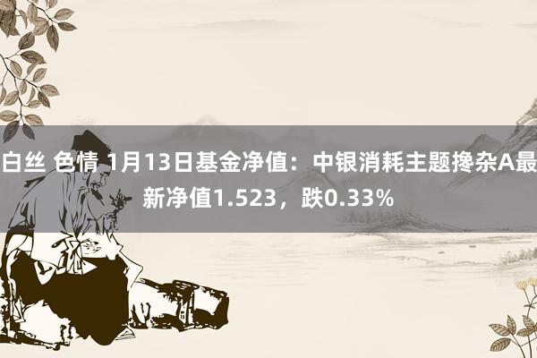 白丝 色情 1月13日基金净值：中银消耗主题搀杂A最新净值1.523，跌0.33%