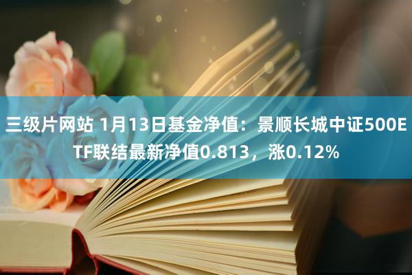三级片网站 1月13日基金净值：景顺长城中证500ETF联结最新净值0.813，涨0.12%