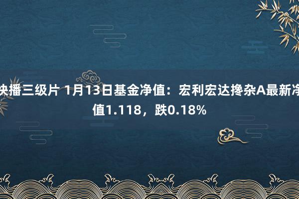 快播三级片 1月13日基金净值：宏利宏达搀杂A最新净值1.118，跌0.18%