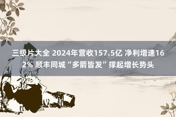 三级片大全 2024年营收157.5亿 净利增速162% 顺丰同城“多箭皆发”撑起增长势头
