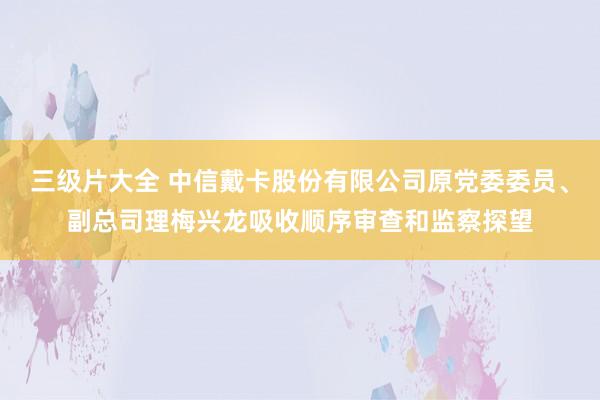 三级片大全 中信戴卡股份有限公司原党委委员、副总司理梅兴龙吸收顺序审查和监察探望