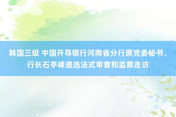 韩国三级 中国开导银行河南省分行原党委秘书、行长石亭峰遴选法式审查和监察走访