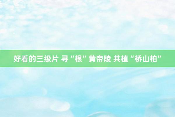 好看的三级片 寻“根”黄帝陵 共植“桥山柏”