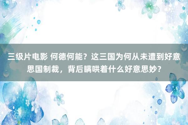 三级片电影 何德何能？这三国为何从未遭到好意思国制裁，背后瞒哄着什么好意思妙？