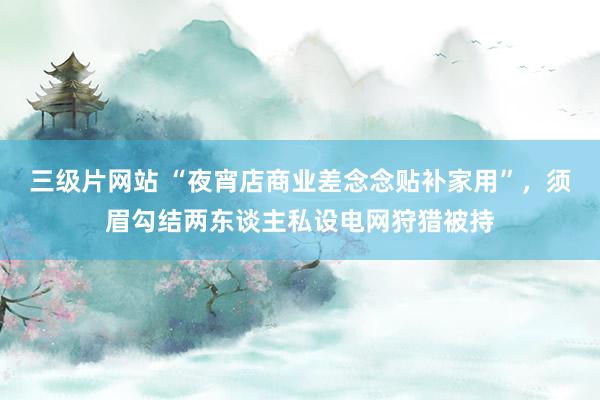 三级片网站 “夜宵店商业差念念贴补家用”，须眉勾结两东谈主私设电网狩猎被持