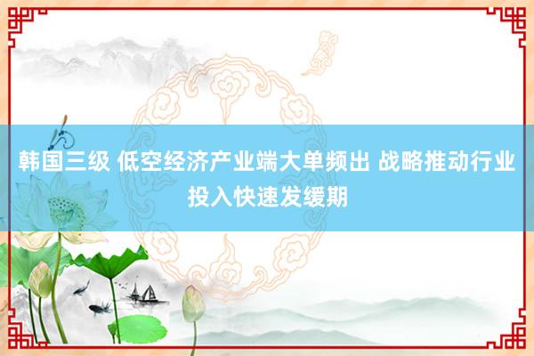 韩国三级 低空经济产业端大单频出 战略推动行业投入快速发缓期