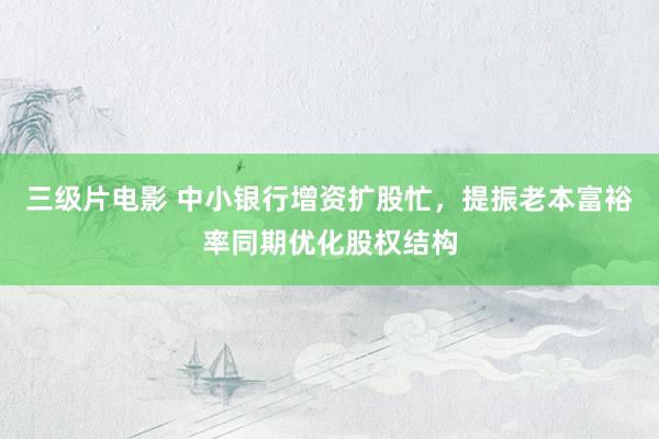 三级片电影 中小银行增资扩股忙，提振老本富裕率同期优化股权结构