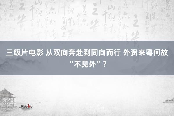 三级片电影 从双向奔赴到同向而行 外资来粤何故“不见外”？