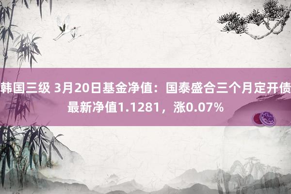 韩国三级 3月20日基金净值：国泰盛合三个月定开债最新净值1.1281，涨0.07%