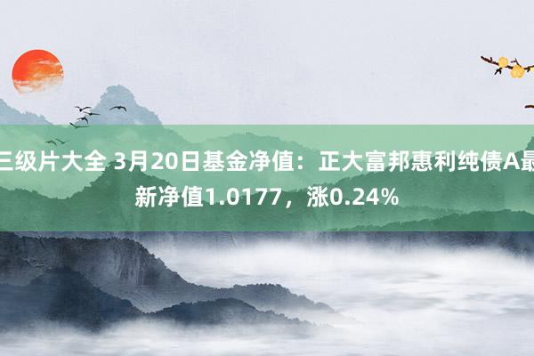 三级片大全 3月20日基金净值：正大富邦惠利纯债A最新净值1.0177，涨0.24%