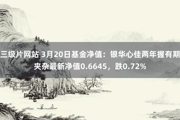 三级片网站 3月20日基金净值：银华心佳两年握有期夹杂最新净值0.6645，跌0.72%