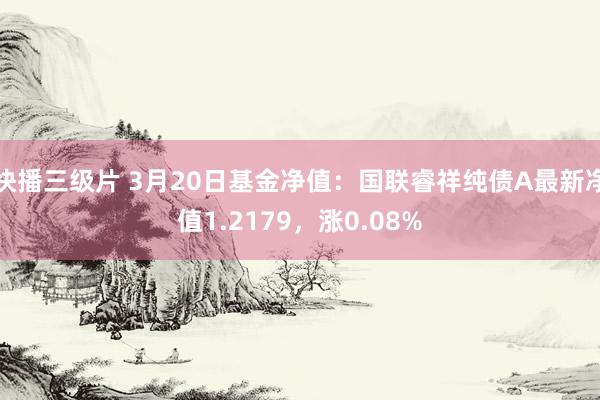 快播三级片 3月20日基金净值：国联睿祥纯债A最新净值1.2179，涨0.08%