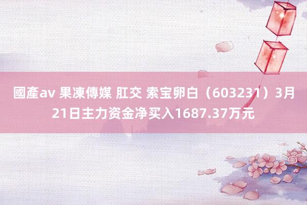 國產av 果凍傳媒 肛交 索宝卵白（603231）3月21日主力资金净买入1687.37万元