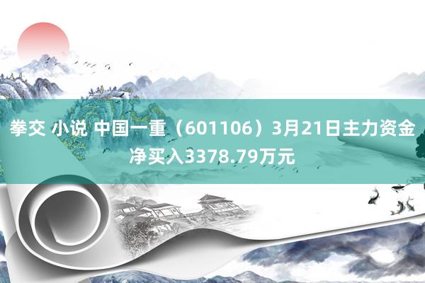 拳交 小说 中国一重（601106）3月21日主力资金净买入3378.79万元