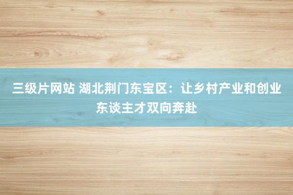 三级片网站 湖北荆门东宝区：让乡村产业和创业东谈主才双向奔赴