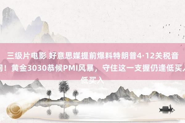 三级片电影 好意思媒提前爆料特朗普4·12关税音问！黄金3030恭候PMI风暴，守住这一支握仍逢低买入