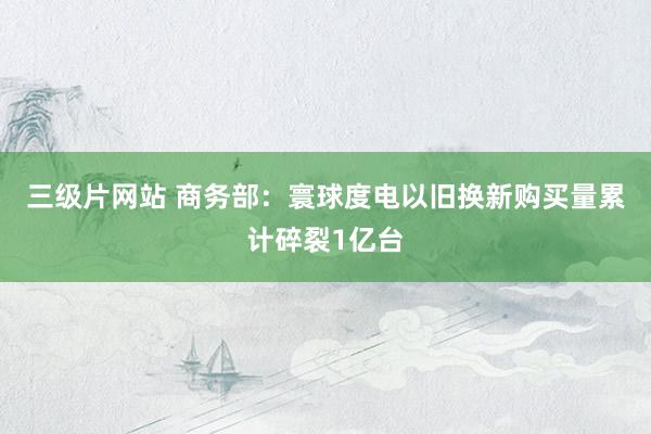 三级片网站 商务部：寰球度电以旧换新购买量累计碎裂1亿台