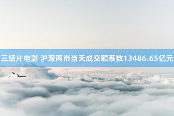 三级片电影 沪深两市当天成交额系数13486.65亿元