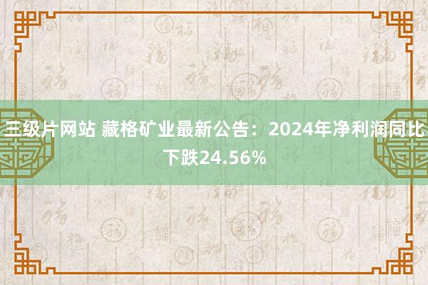 三级片网站 藏格矿业最新公告：2024年净利润同比下跌24.56%