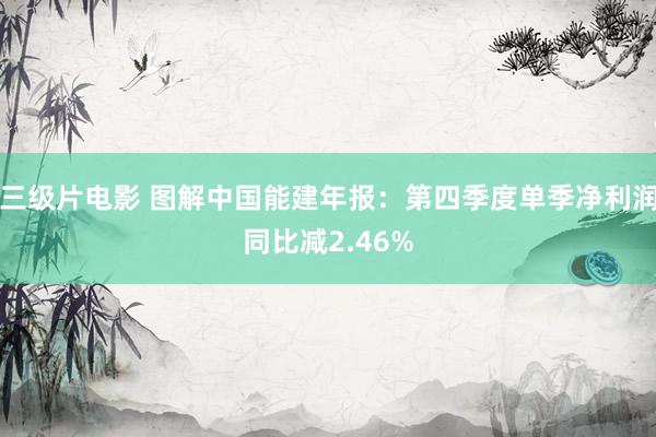 三级片电影 图解中国能建年报：第四季度单季净利润同比减2.46%