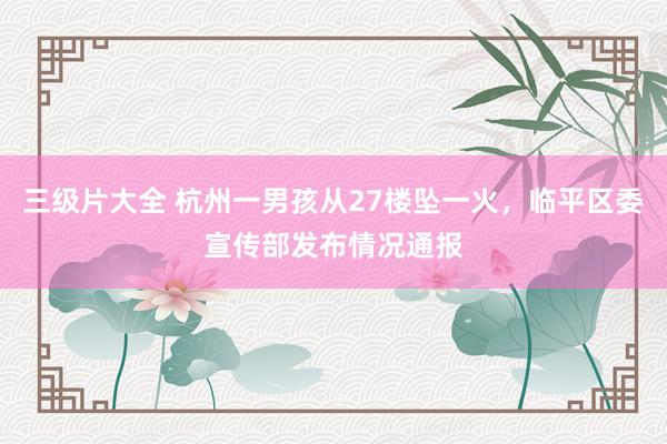 三级片大全 杭州一男孩从27楼坠一火，临平区委宣传部发布情况通报