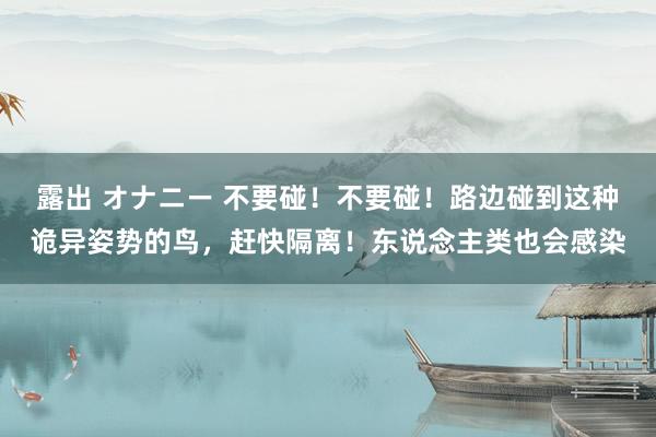 露出 オナニー 不要碰！不要碰！路边碰到这种诡异姿势的鸟，赶快隔离！东说念主类也会感染